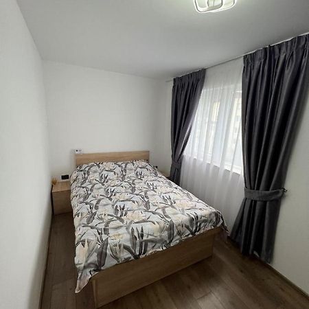 Sica Guesthouse Borşa Eksteriør bilde