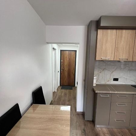Sica Guesthouse Borşa Eksteriør bilde