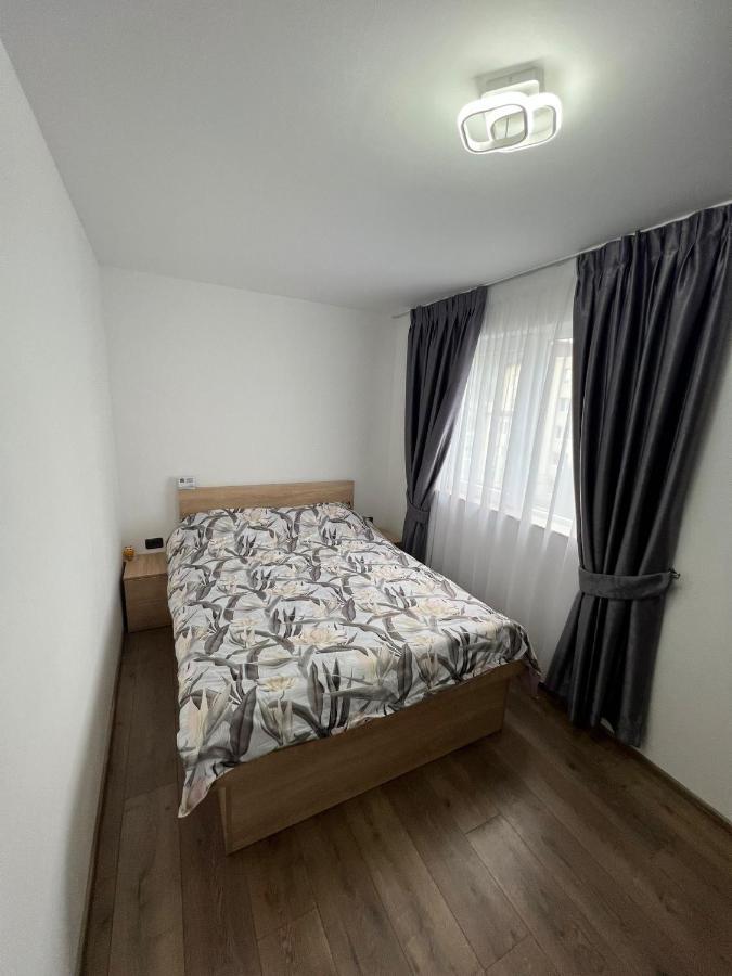 Sica Guesthouse Borşa Eksteriør bilde