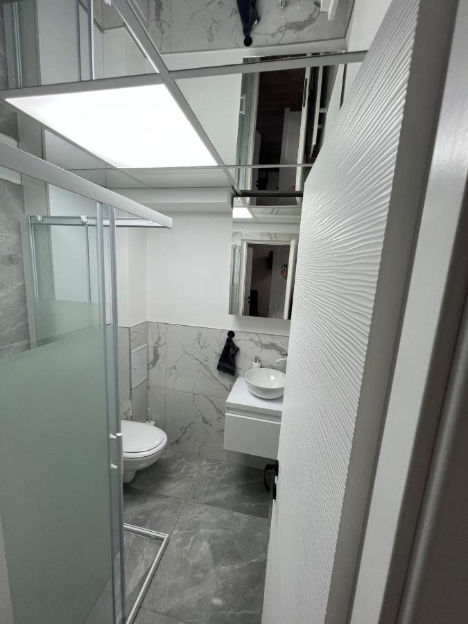 Sica Guesthouse Borşa Eksteriør bilde