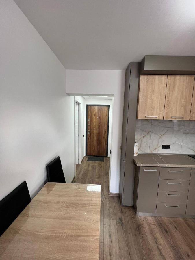Sica Guesthouse Borşa Eksteriør bilde